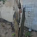 Russa Al Lentiscais